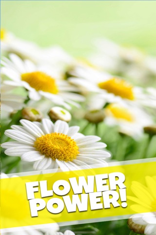 Amazing Flower Garden Wallpaper Backgrounds: FREE Spring Edition screenshot 2