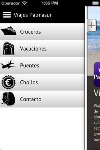 Viajes Palmasur screenshot 2