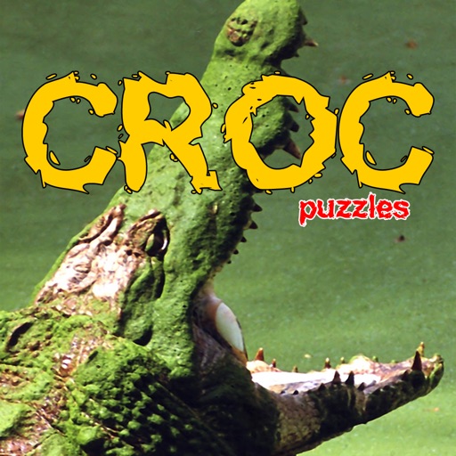 Crocodile Puzzles