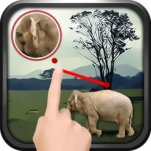 Connect The SameFigure(Animal) iOS App