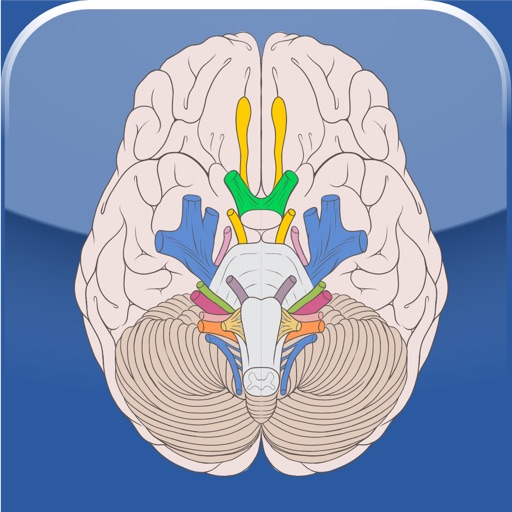 Cranial Nerves ~ Pocket Clinical Resource icon