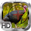 Wild Turkey Hunting Gold Pro