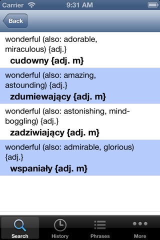 English Polish Dictionary screenshot 2