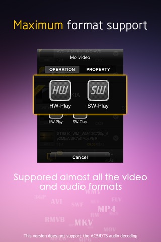 Moli-Player - free movie & music player for network download video media for iPhone/iPod screenshot 2