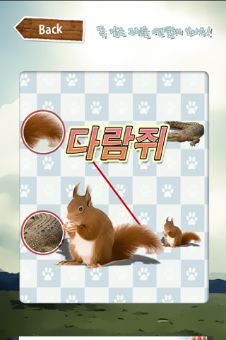 Connect The SameFigure(Animal) screenshot 2