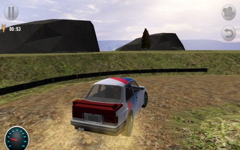 3D Rally Racing screenshot 4