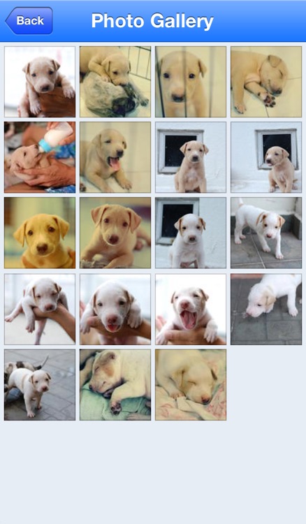 PetFinder.my screenshot-4