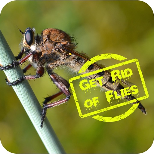 HowTo Get Rid Of Flies icon