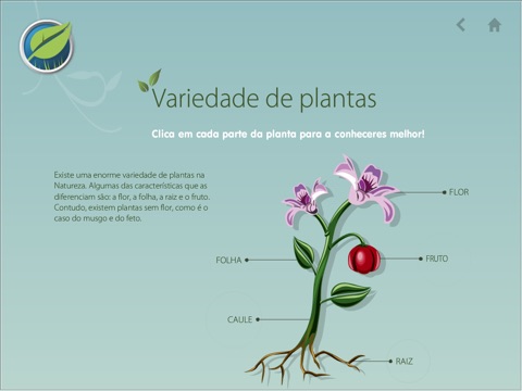 Plantas - CM Redondo screenshot 4