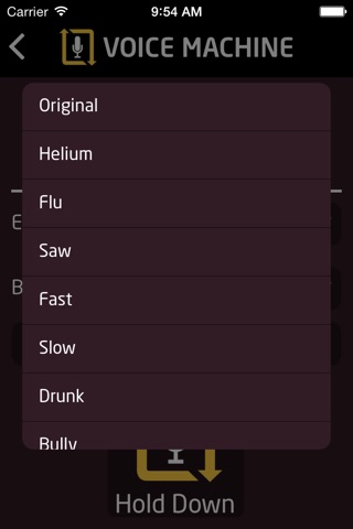 Voice Machine screenshot 4
