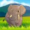 Aaron's wildlife animals puzzle game