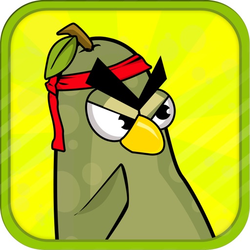 Battle Birds vs the Big Bad Crows iOS App