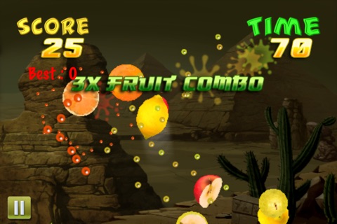 Kung Food Fighter screenshot 4
