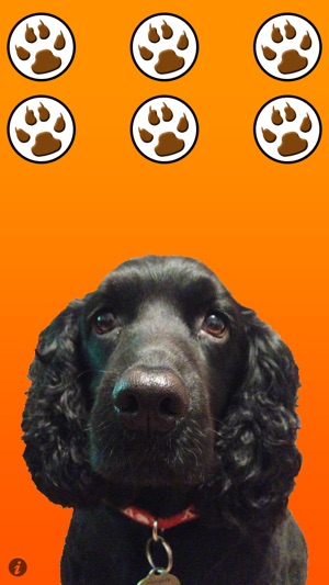 Annoying Dogs(圖1)-速報App