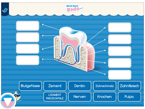 Oral Care Kids screenshot 4