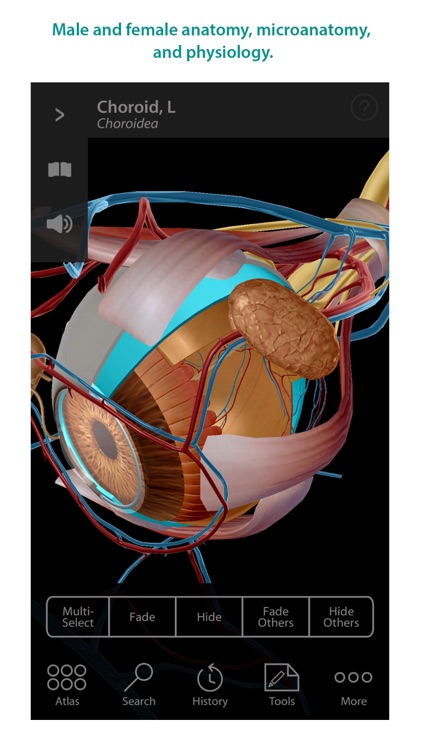Human Anatomy Atlas – 3D Anatomical Model of the Human Body screenshot-3