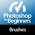 For Beginners Photoshop Brushes Edition