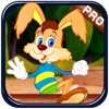 A Rabbit Fun Crazy Drop : Amazon Jungle Falling Game - Full Version