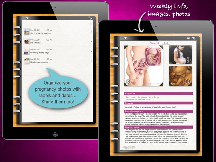 iPregnant Pregnancy Tracker HD (iPeriod's Pregnancy Companion)