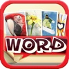 WordBox - Guess the Word