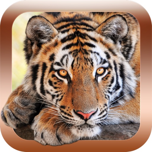 Animal Sounds & Pictures Zoo - learning game for kids, toddlers and babies Icon