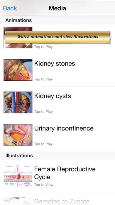 Reproductive and Urinary Anatomy Atlas: Essential Reference for Students and Healthcare Professionals Screenshot 4