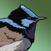 BirdsEye Australia - Bird Finding Guide