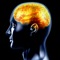 Your Mental Age Test - Test Brain IQ
