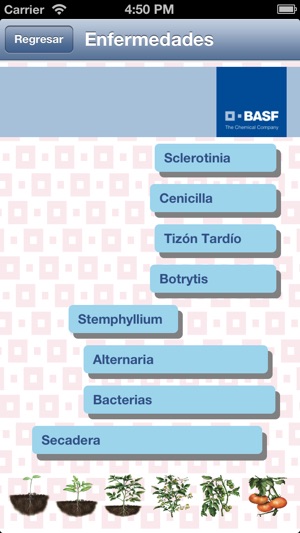 BASF México - Cultivo del Tomate(圖3)-速報App