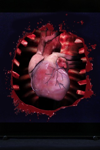 HeartCam screenshot 2