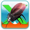 X-Beetle2