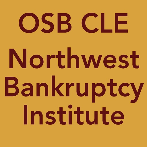 2013 NW Bankruptcy Institute