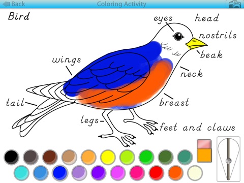 Animals and Plants - Montessori Coloring Activities screenshot 2
