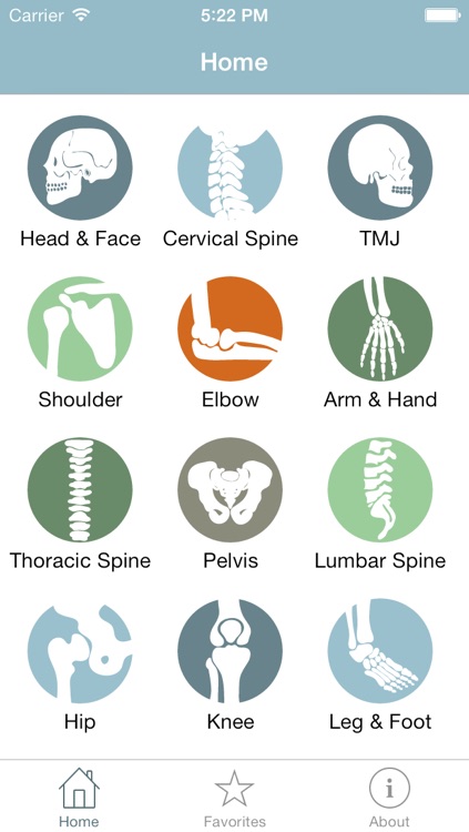 Ortho Assess