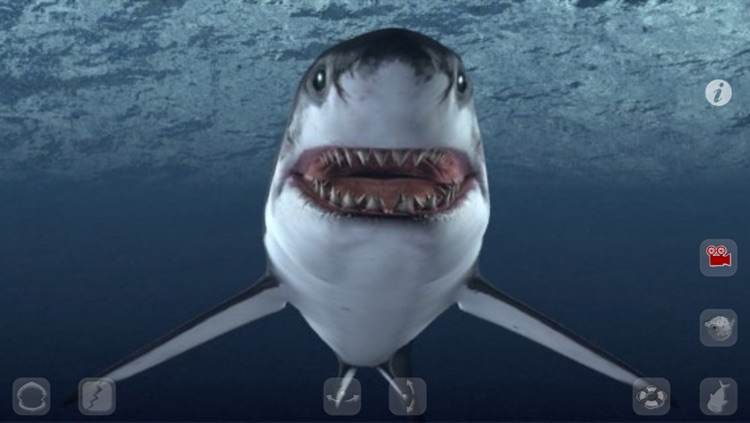 Talking Great White : My Pet Shark PRO