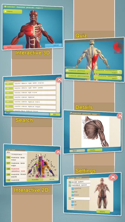 Easy Anatomy 3D