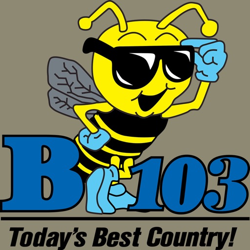 B 103