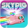 Sky Pig - Magic rainbow