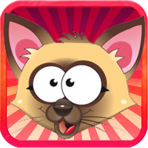 Funny Cat Game: Tap to Kill Kitten Puzzle icon