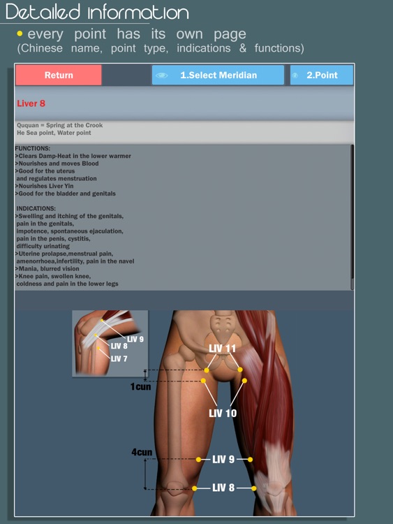 Easy Acupuncture 3D