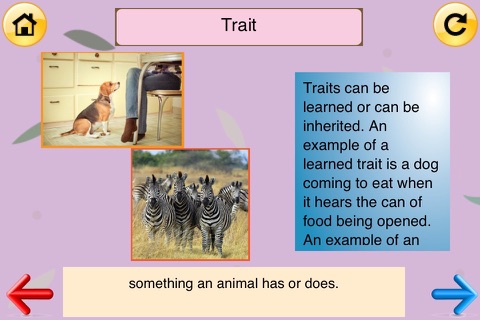 3rd Grade Science Glossary # 2: Learn and Practice Worksheets for home use and in school classrooms screenshot 3