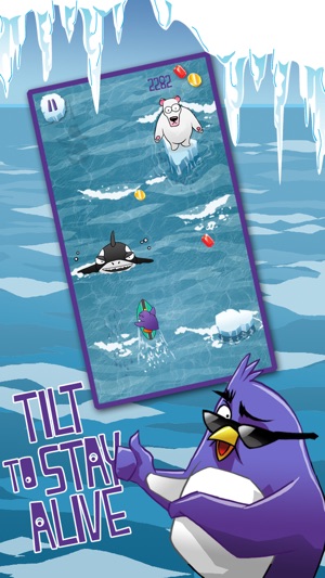 Extreme Penguin Surfing Adventure Crush(圖1)-速報App