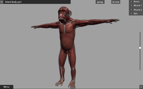Animal Anatomy 3D screenshot 2