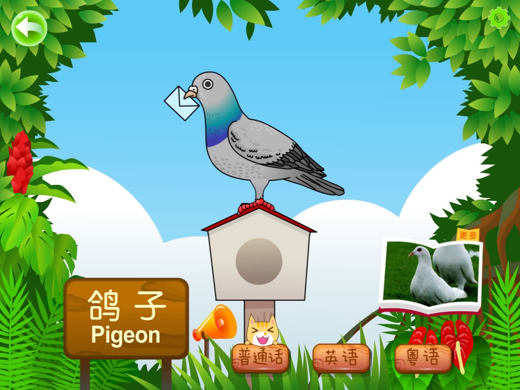 Birds for Kids HD - FREE Game screenshot 3