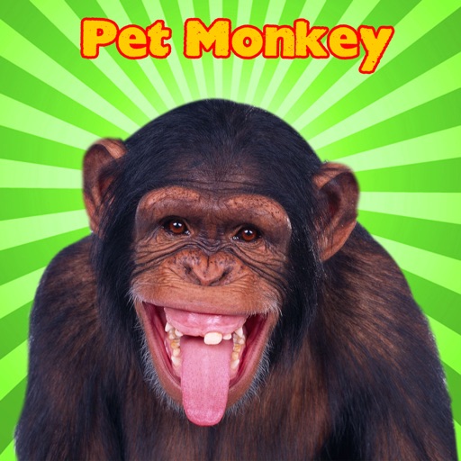 A Pet Monkey Booth icon