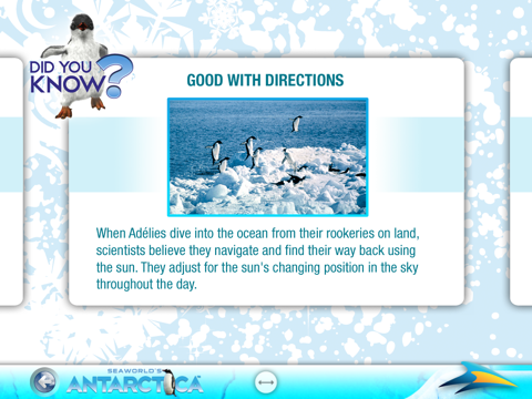 SeaWorld's Antarctica for iPad screenshot 4