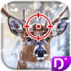 Activities of Kill Deer Winter