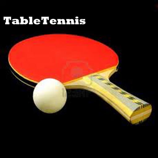 A Special Table Tennis Competition Free HDX 2013 2014 icon