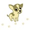 Visit the Swedish dog site Vovve