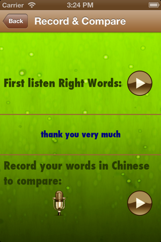 Learn Chinese Phrases : Simplified in female voice screenshot 4